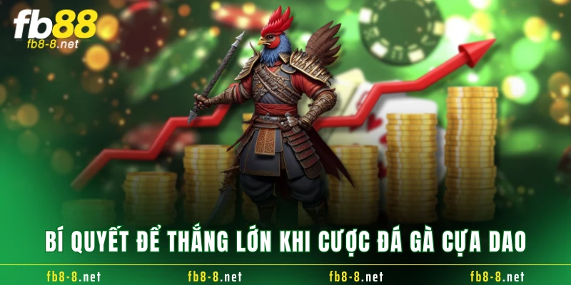 Bí quyết để thắng lớn khi cược đá gà cựa dao