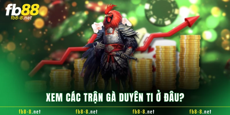 Xem các trận gà Duyên Ti ở đâu?